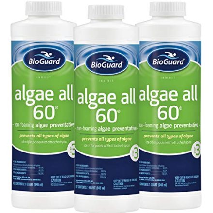 Bioguard — Bioguard Algae All 60, 1 Gallon