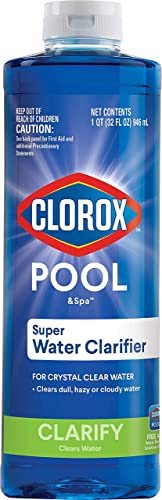 Clorox — Clorox Pool&Spa Pool Flocculant, 1 Quart