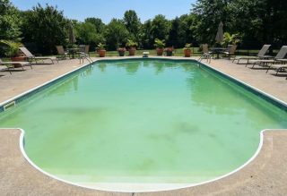 Can Pool Algae Be White? Types & Treatment Guide