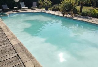 How to Clear Cloudy Milky Pool Water After Opening
