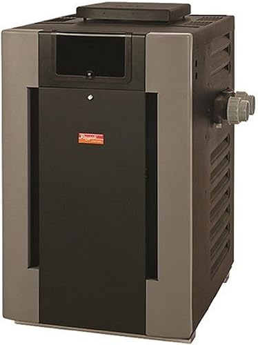 Raypak 014941 Digital with Polymer Headers Heater